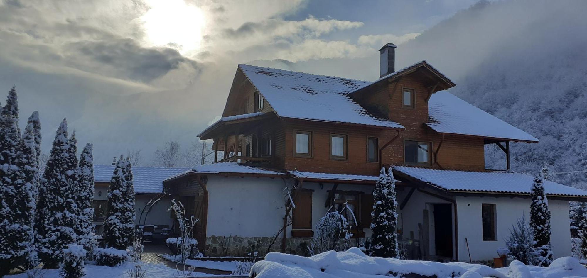 Gasthaus Maria Borlova Bagian luar foto