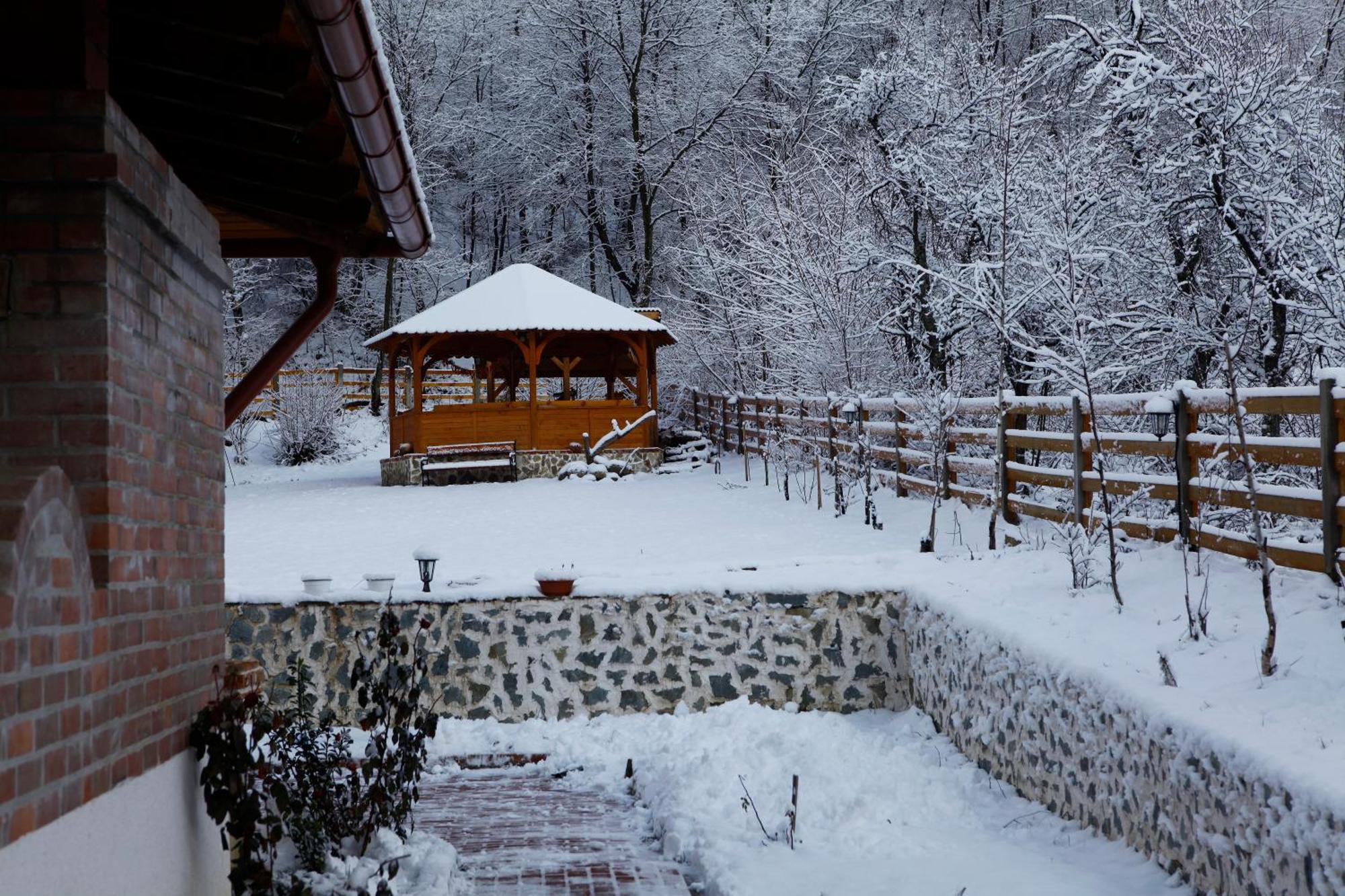 Gasthaus Maria Borlova Bagian luar foto