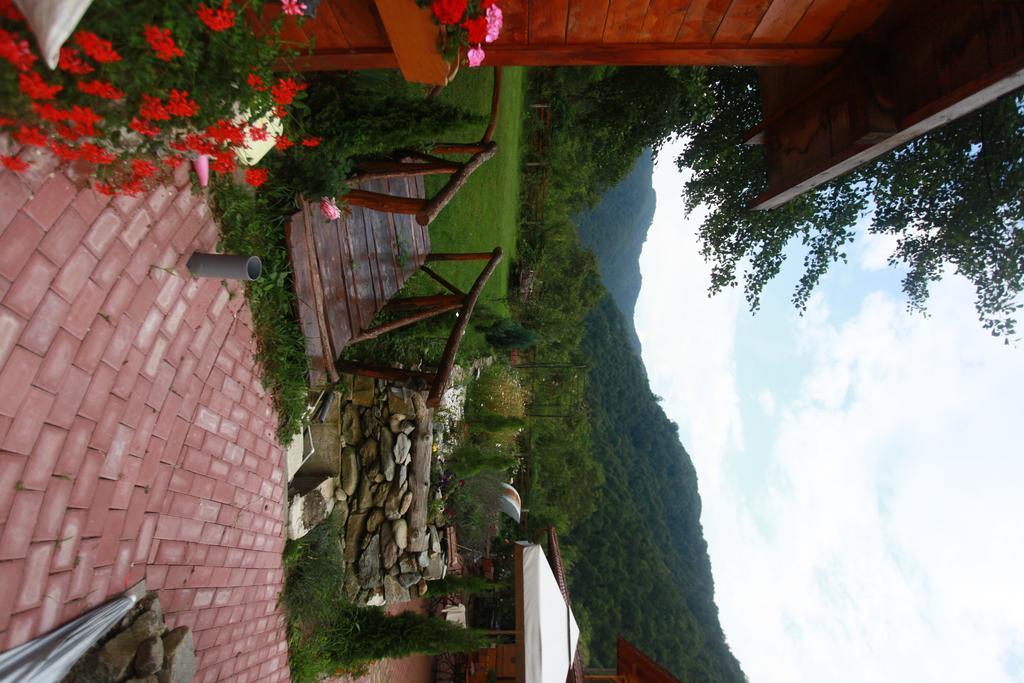 Gasthaus Maria Borlova Bagian luar foto
